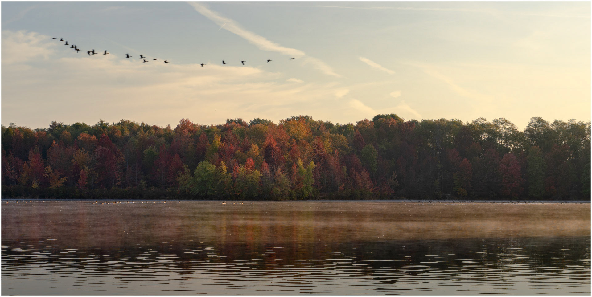 Flight of the Geese - Plainsboro, New Jersey