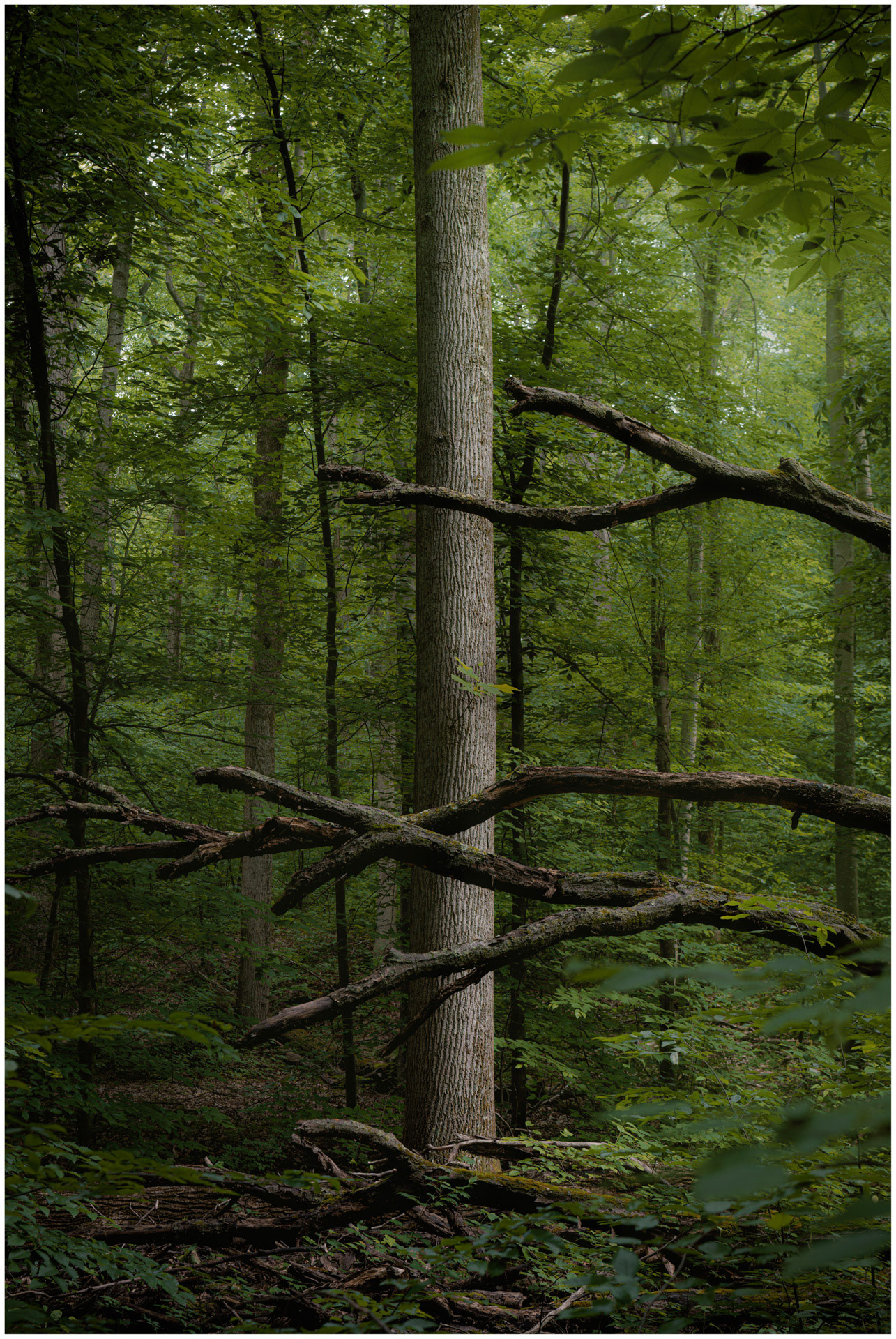 Broken - Assunpink, New Jersey