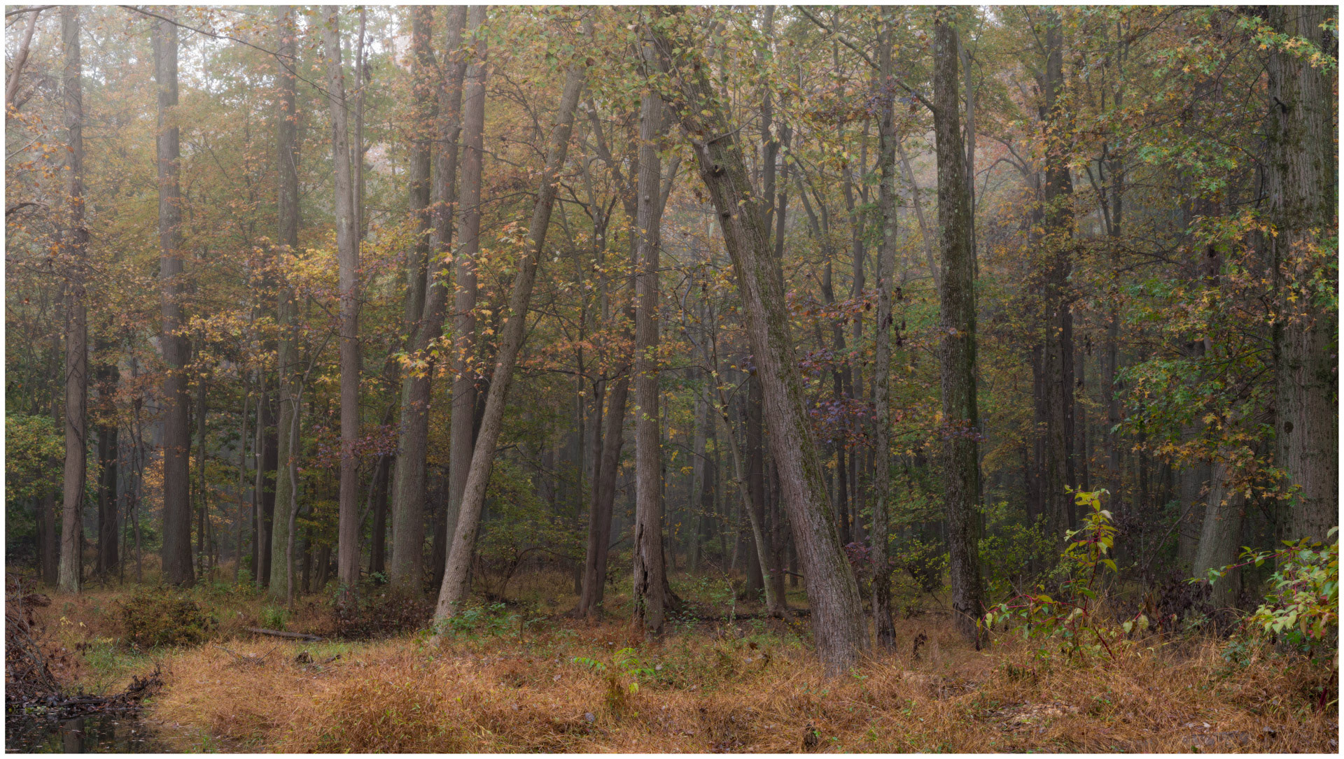 Trinity - Plainsboro, New Jersey