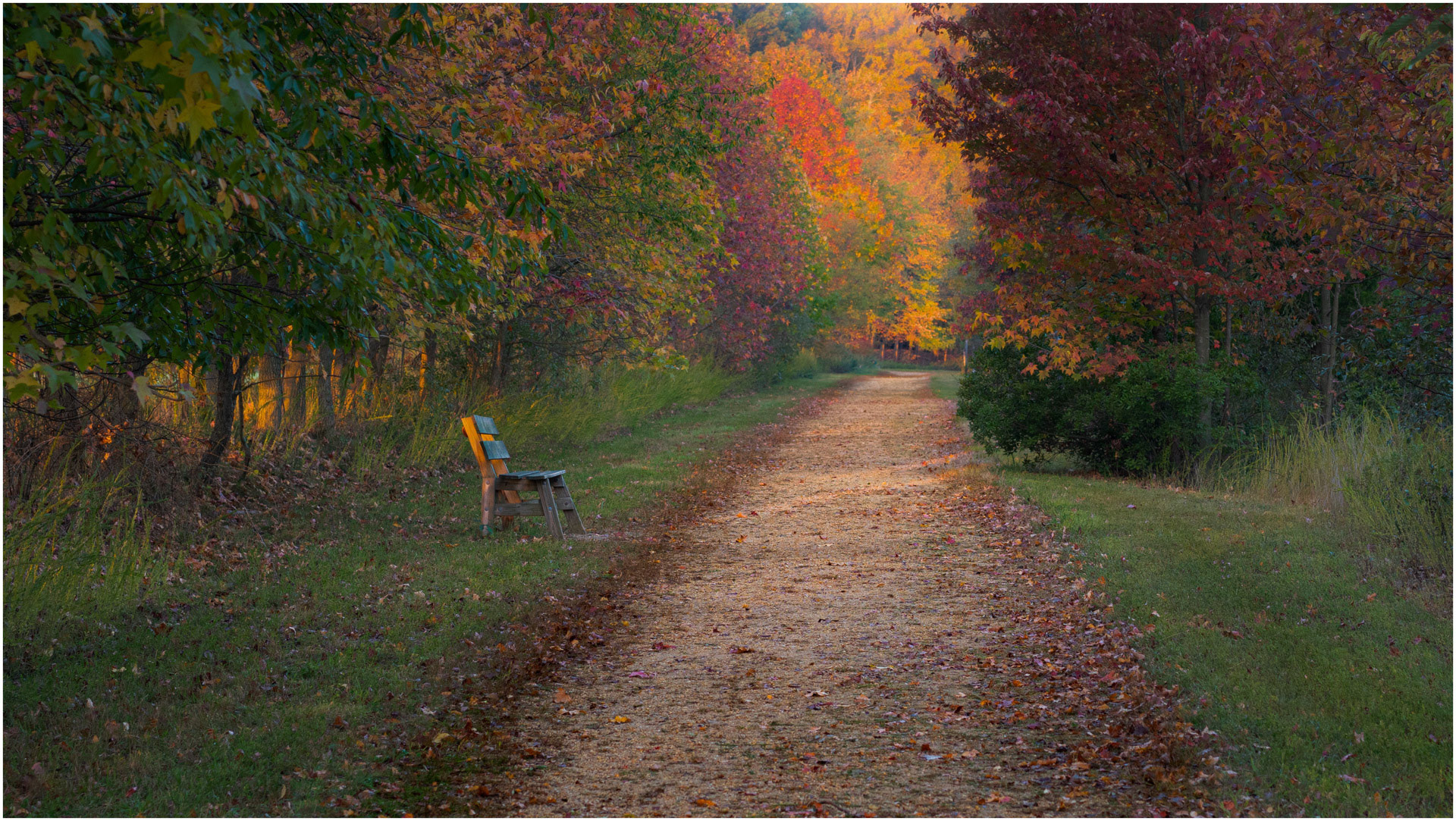 The Bench - Plainsboro, New Jersey