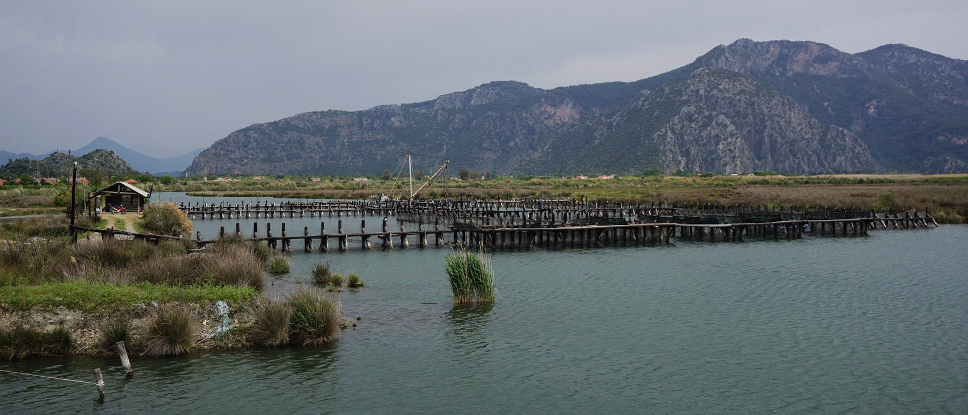 Dalyan Delta, Dalyan, Muğla