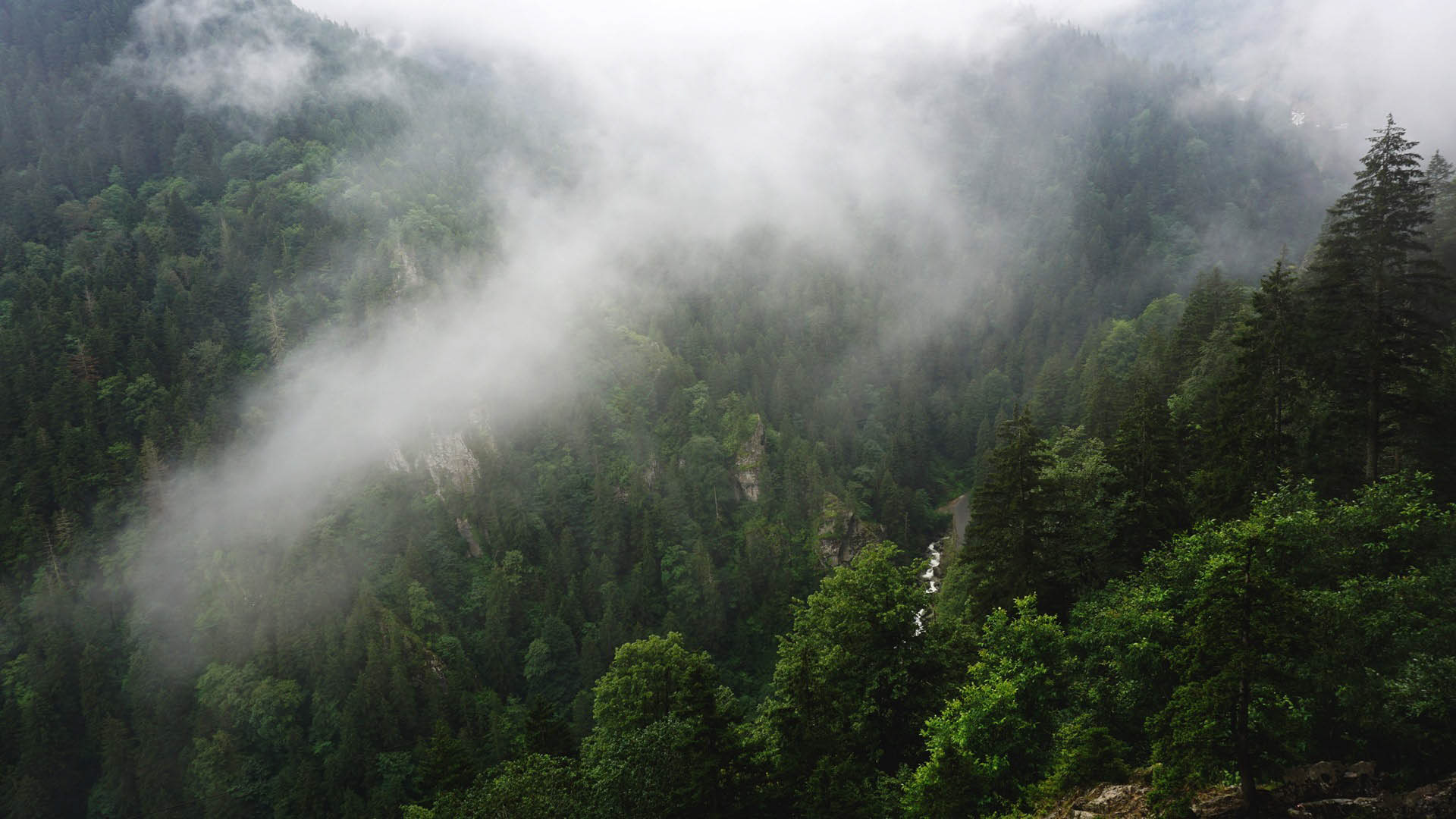 Altındere Valley, Trabzon