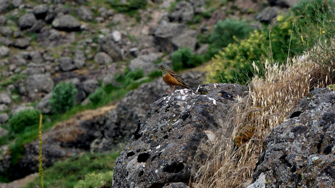 Munzur Valley, Tunceli