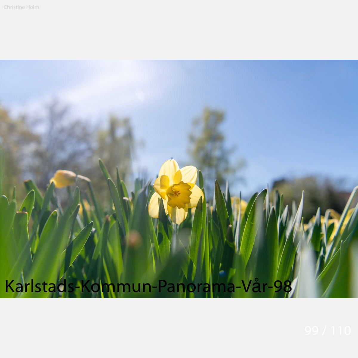 Foto: Christine Holm (www.christineholm.myportfolio.com)