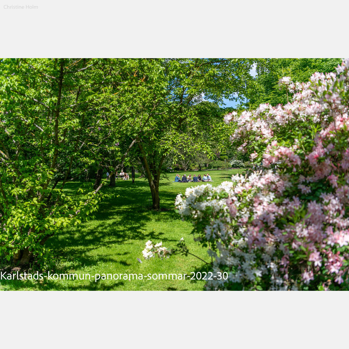 Foto: Christine Holm (www.christineholm.myportfolio.com)