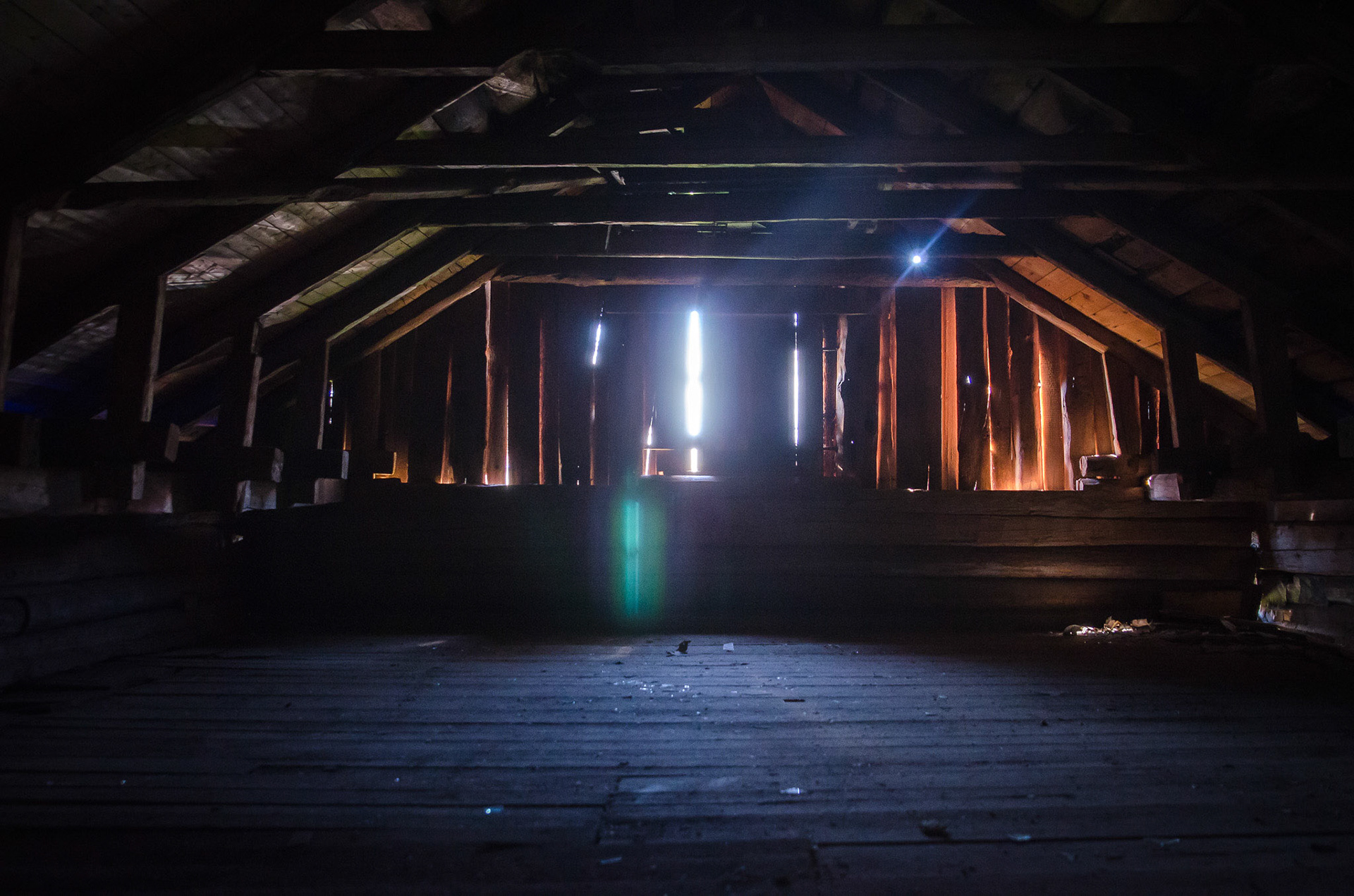 Foto: Christine Holm (www.christineholm.myportfolio.com)