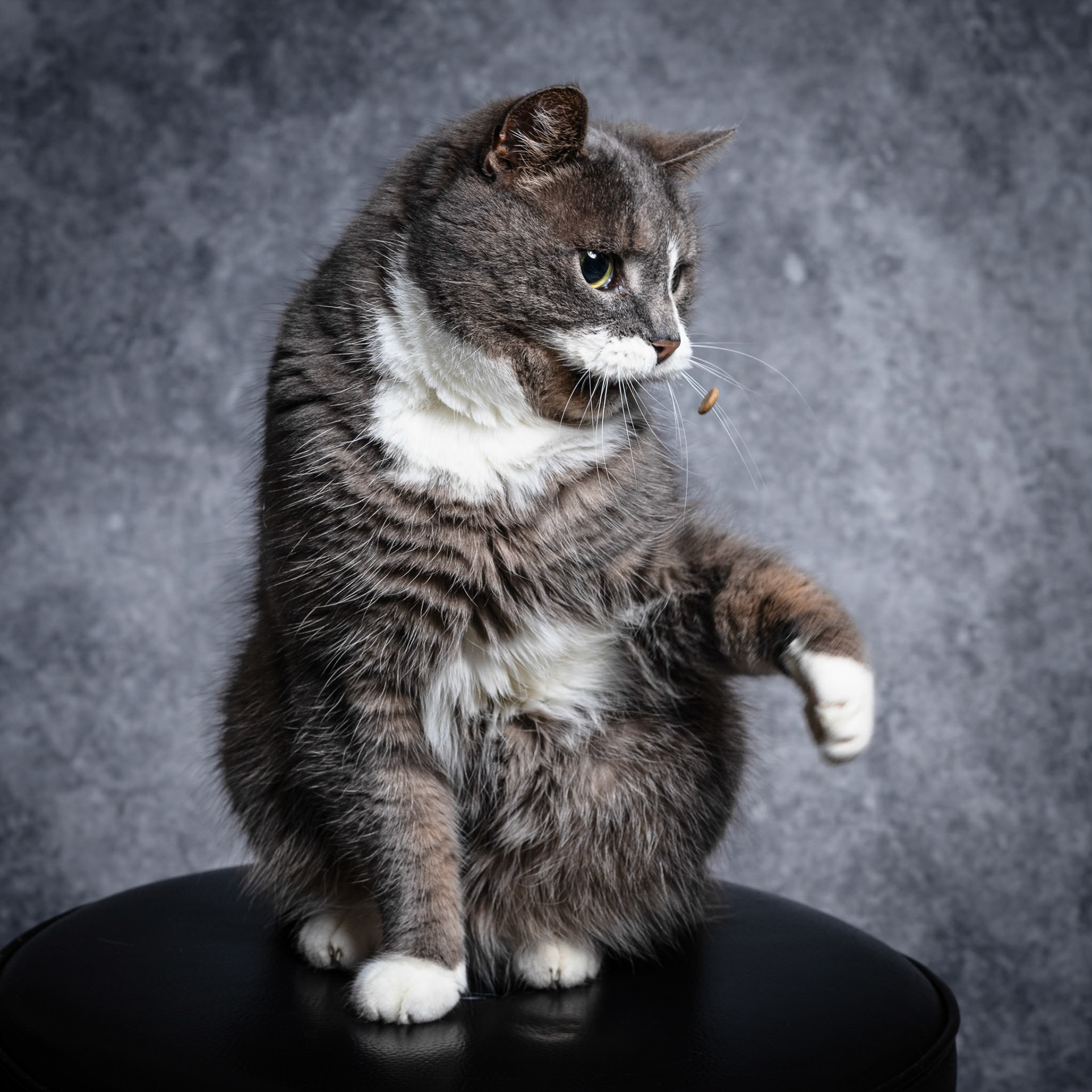 Foto: Christine Holm (www.christineholm.myportfolio.com)