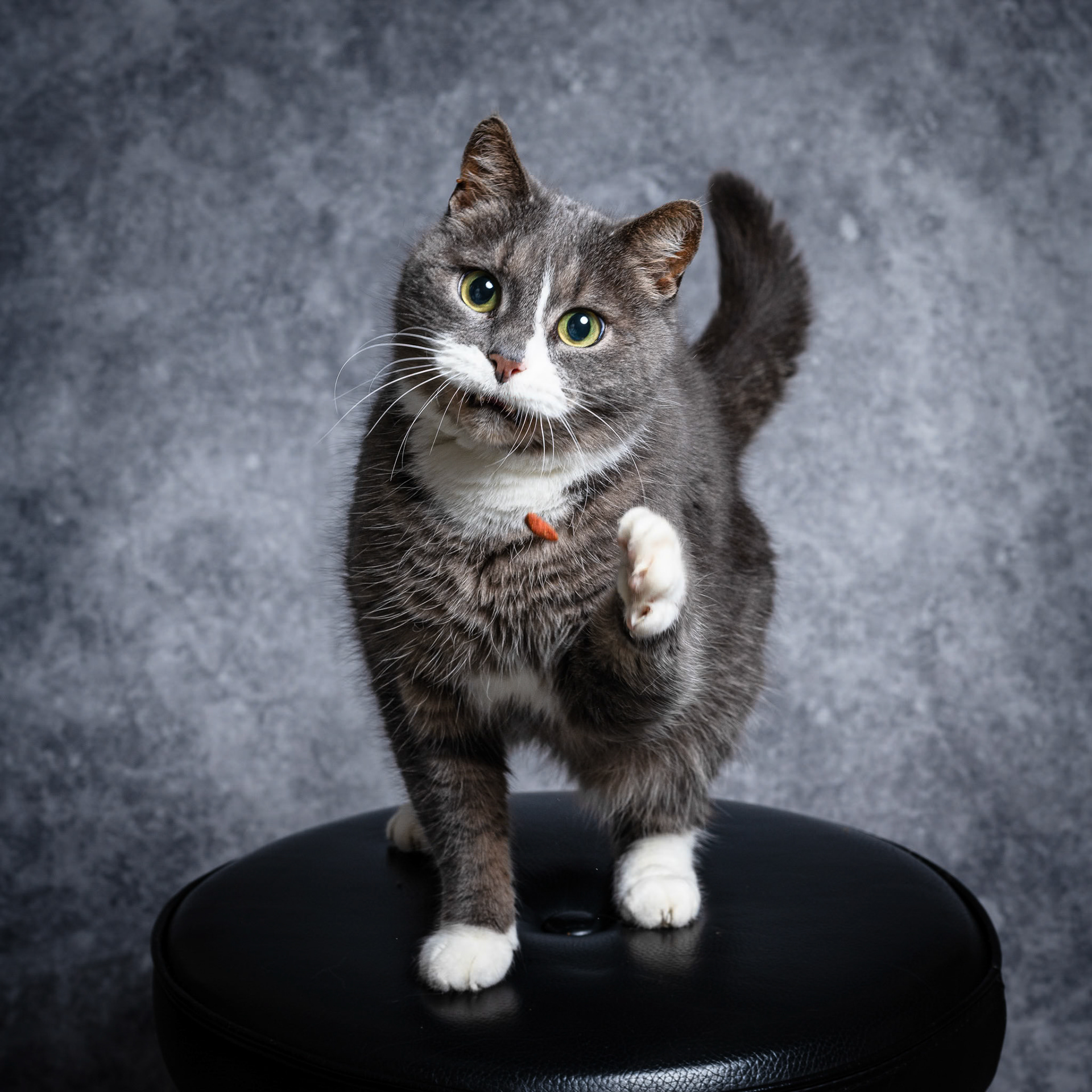 Foto: Christine Holm (www.christineholm.myportfolio.com)