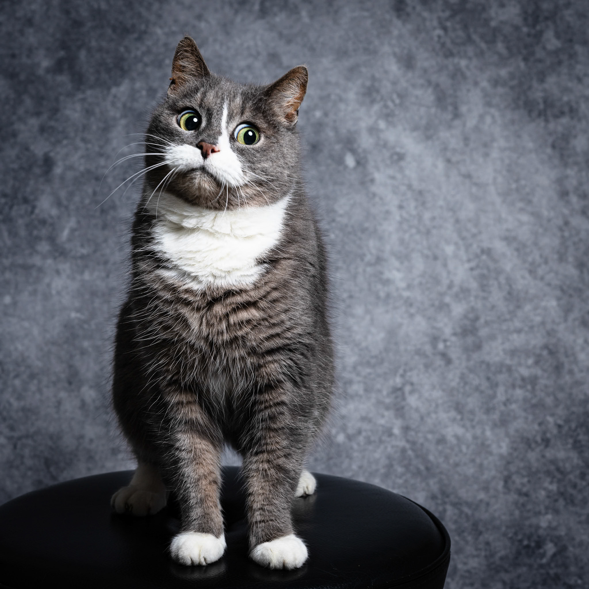 Foto: Christine Holm (www.christineholm.myportfolio.com)