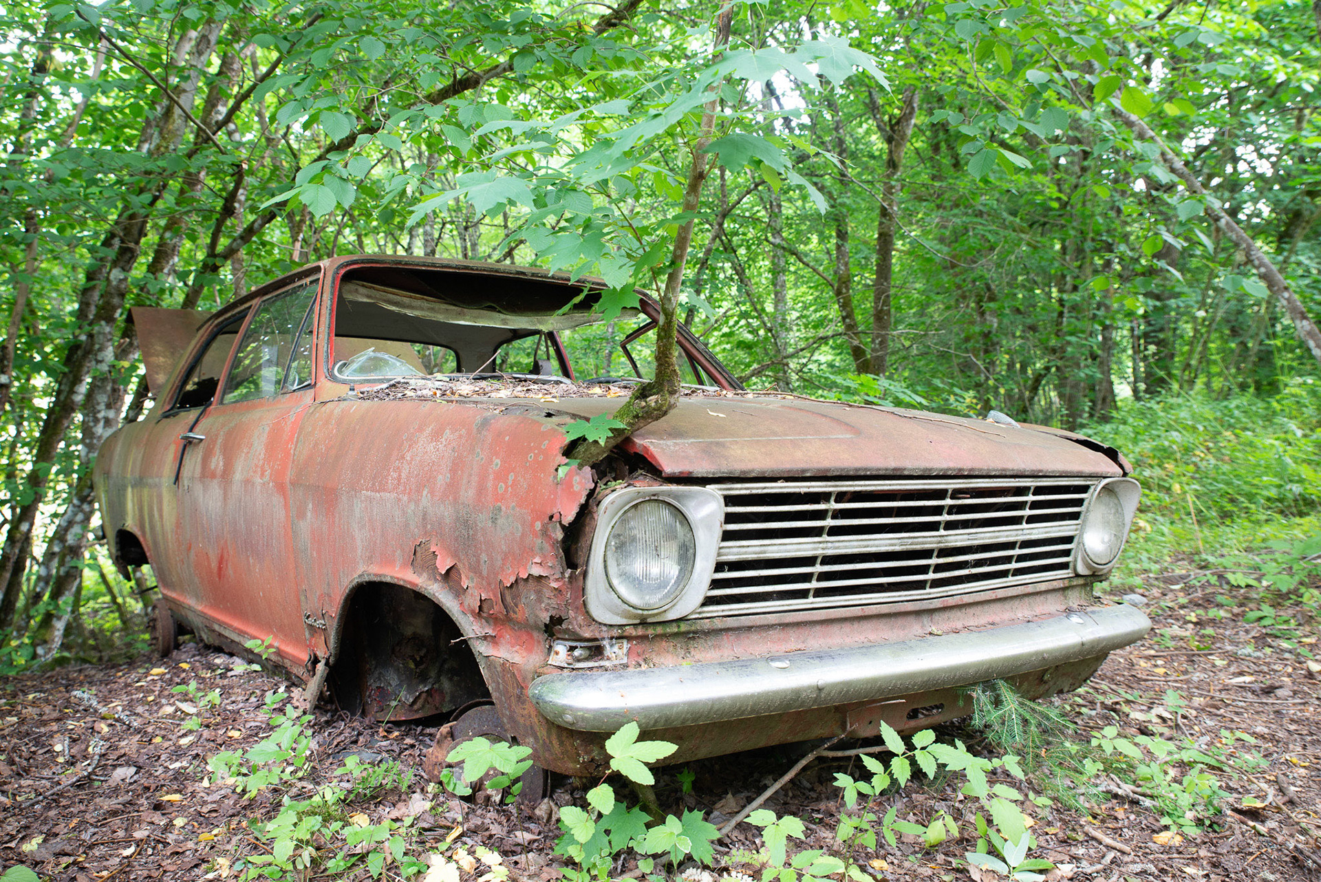 Foto: Christine Holm (www.christineholm.myportfolio.com)