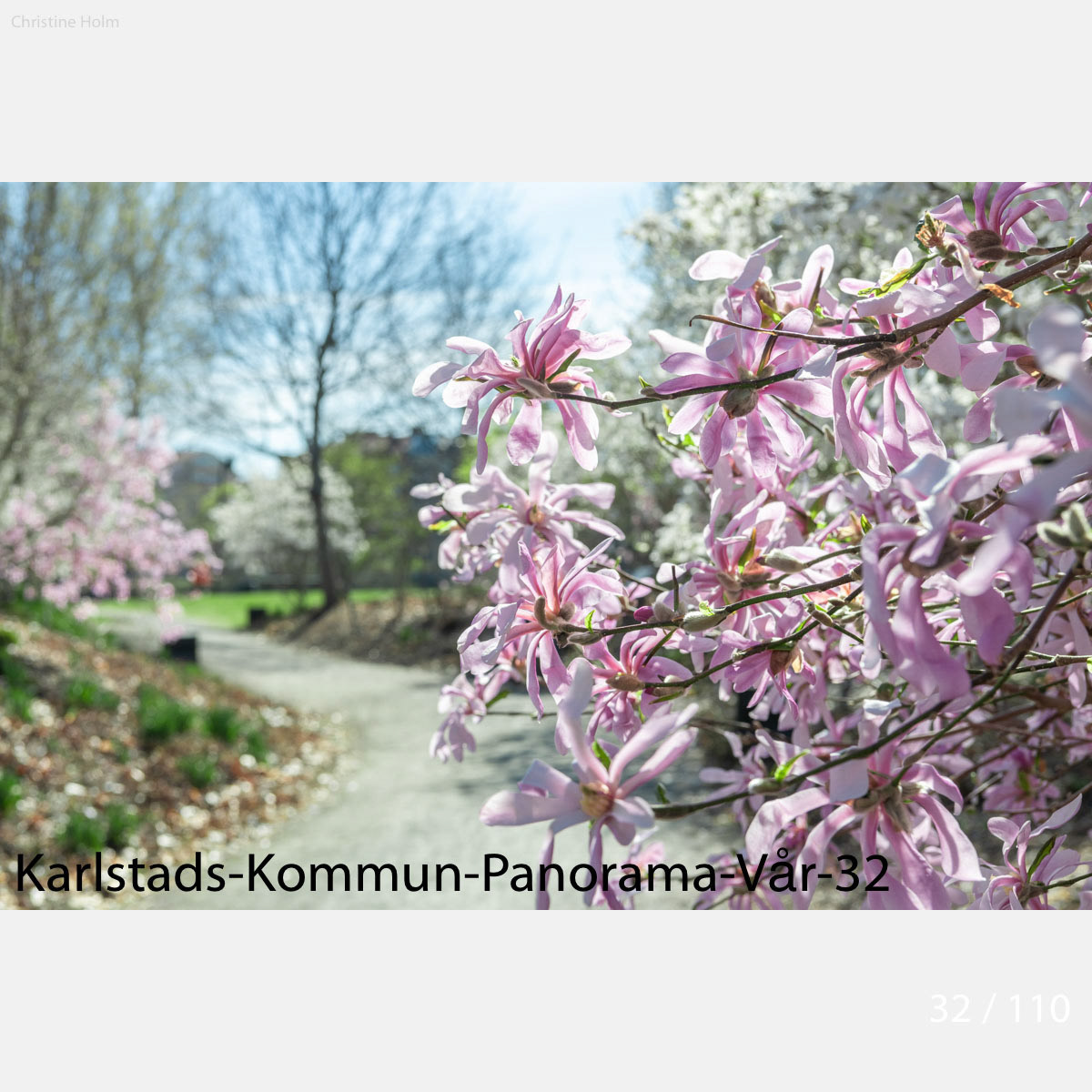 Foto: Christine Holm (www.christineholm.myportfolio.com)