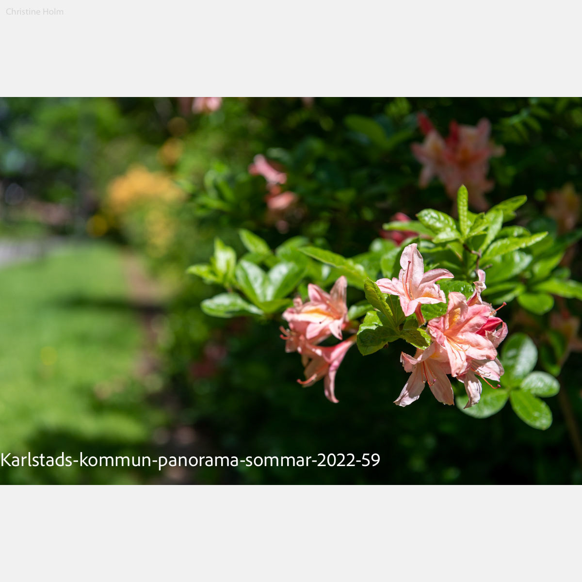 Foto: Christine Holm (www.christineholm.myportfolio.com)