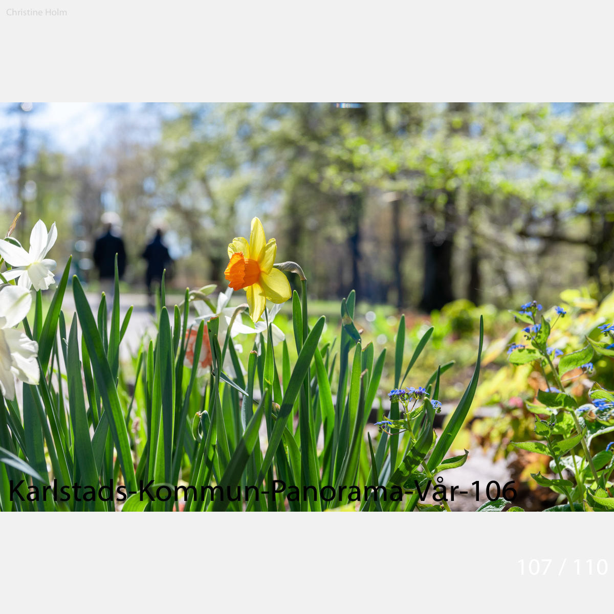 Foto: Christine Holm (www.christineholm.myportfolio.com)