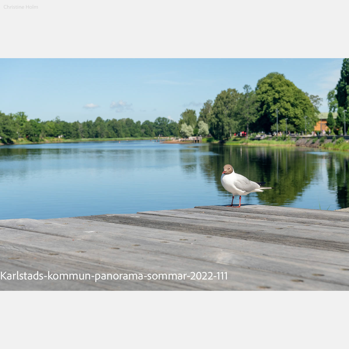 Foto: Christine Holm (www.christineholm.myportfolio.com)