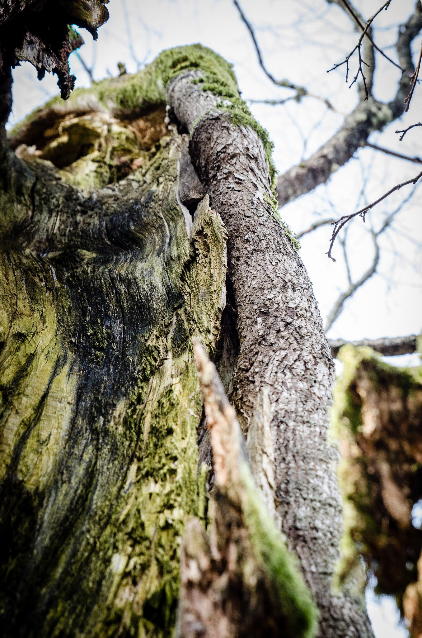 Foto: Christine Holm (www.christineholm.myportfolio.com)