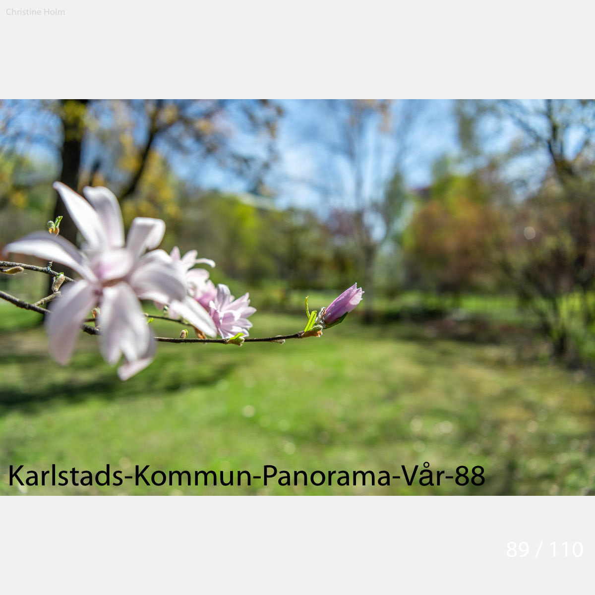 Foto: Christine Holm (www.christineholm.myportfolio.com)