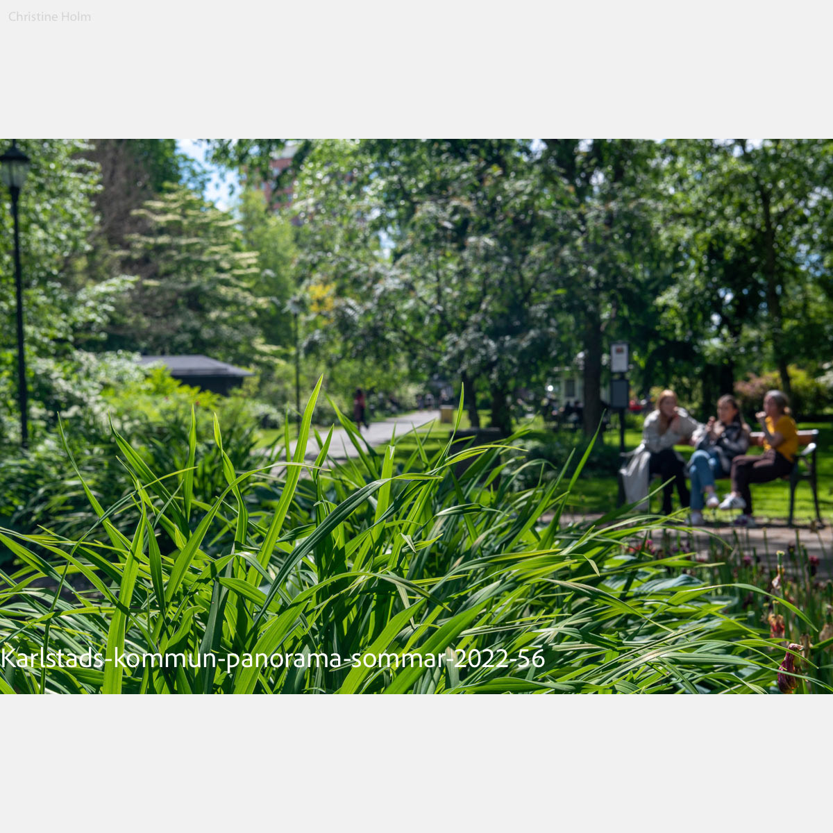 Foto: Christine Holm (www.christineholm.myportfolio.com)