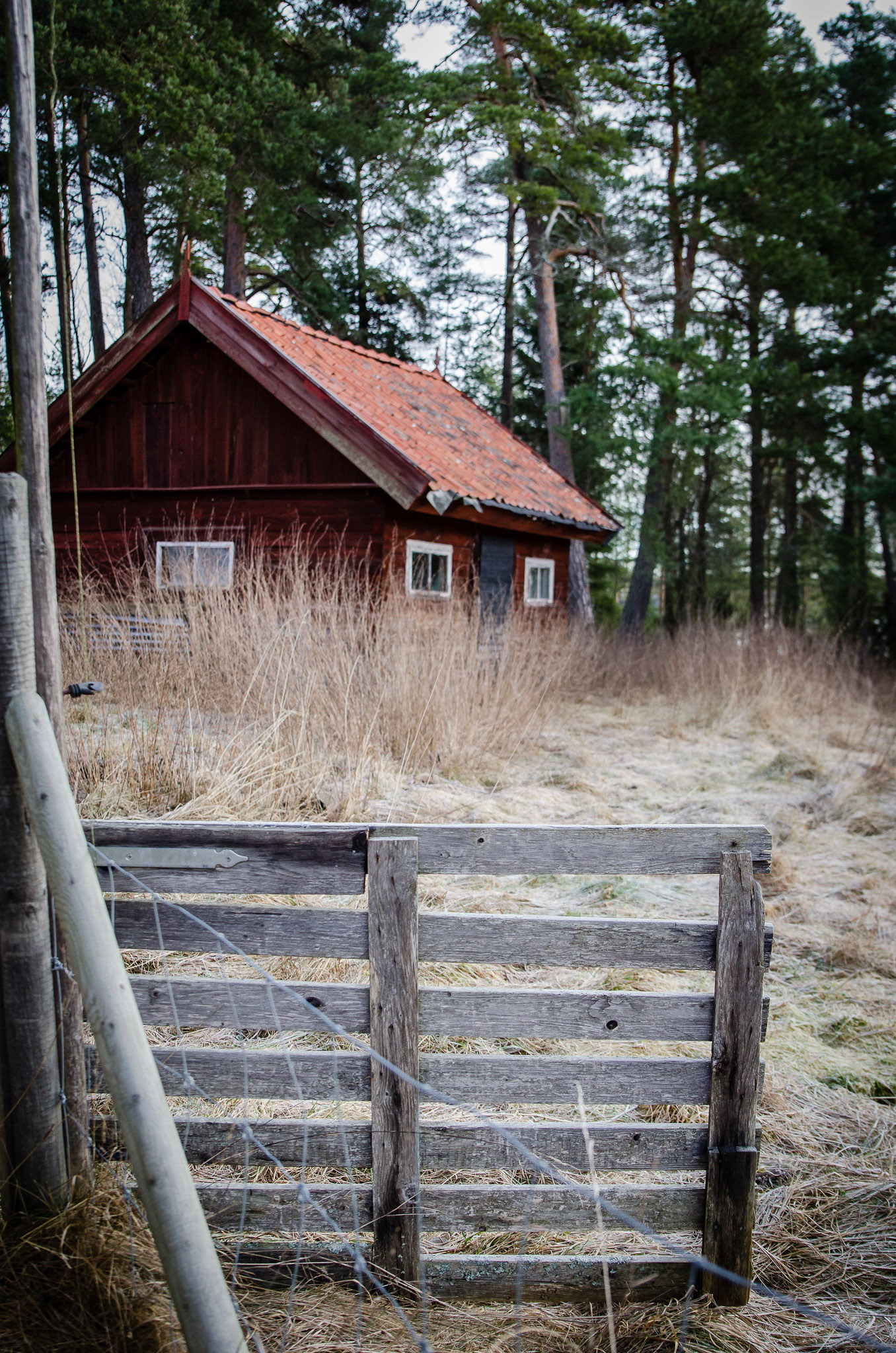 Foto: Christine Holm (www.christineholm.myportfolio.com)