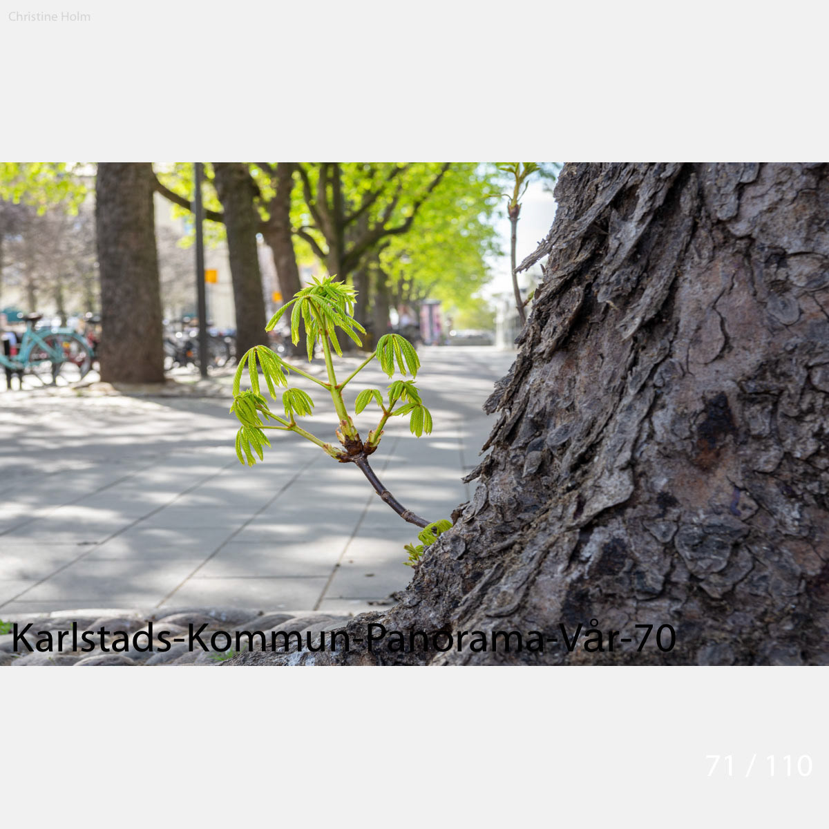 Foto: Christine Holm (www.christineholm.myportfolio.com)