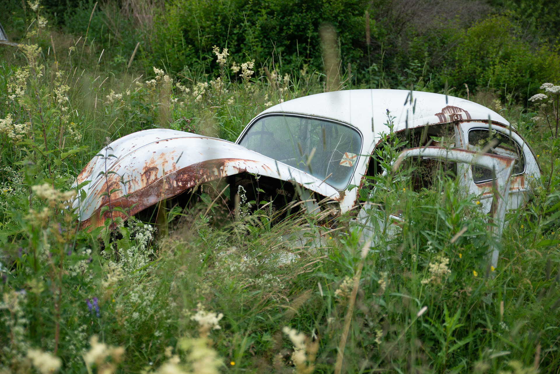 Foto: Christine Holm (www.christineholm.myportfolio.com)