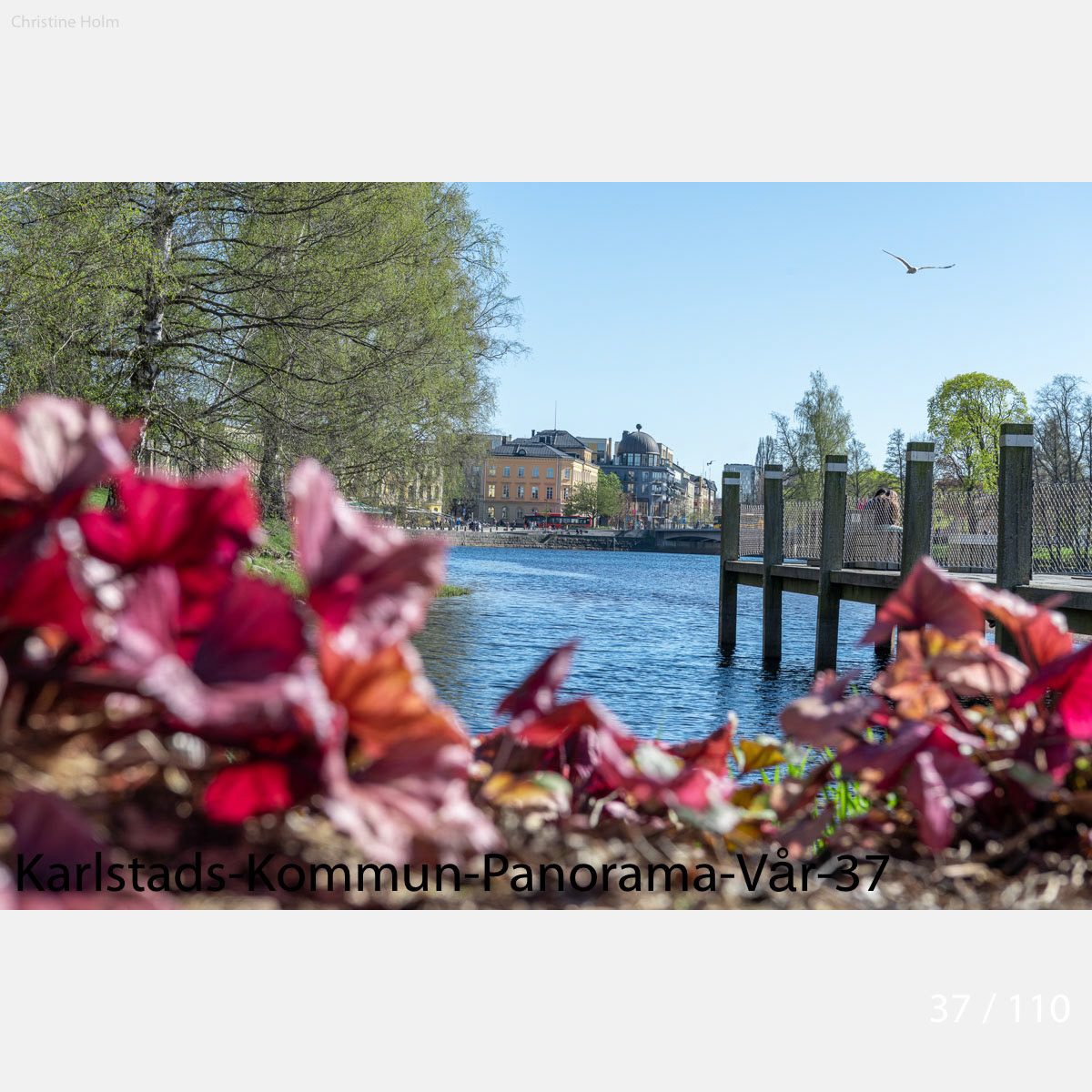 Foto: Christine Holm (www.christineholm.myportfolio.com)