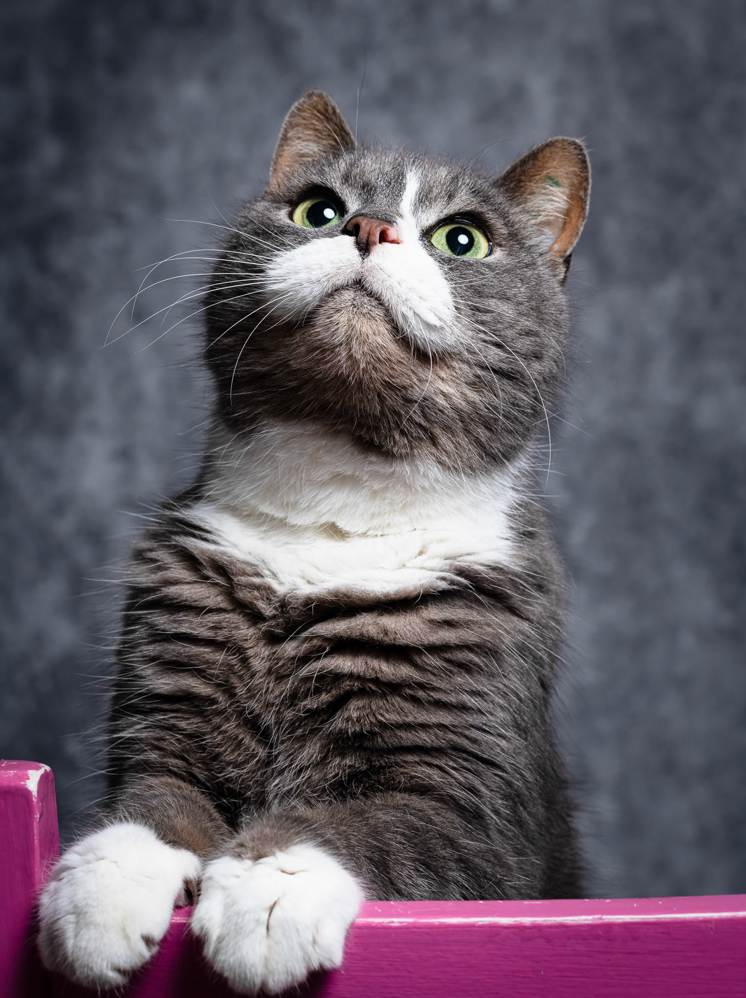 Foto: Christine Holm (www.christineholm.myportfolio.com)