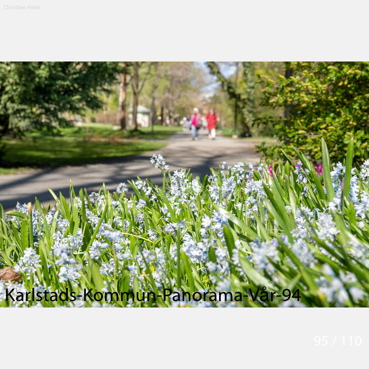 Foto: Christine Holm (www.christineholm.myportfolio.com)