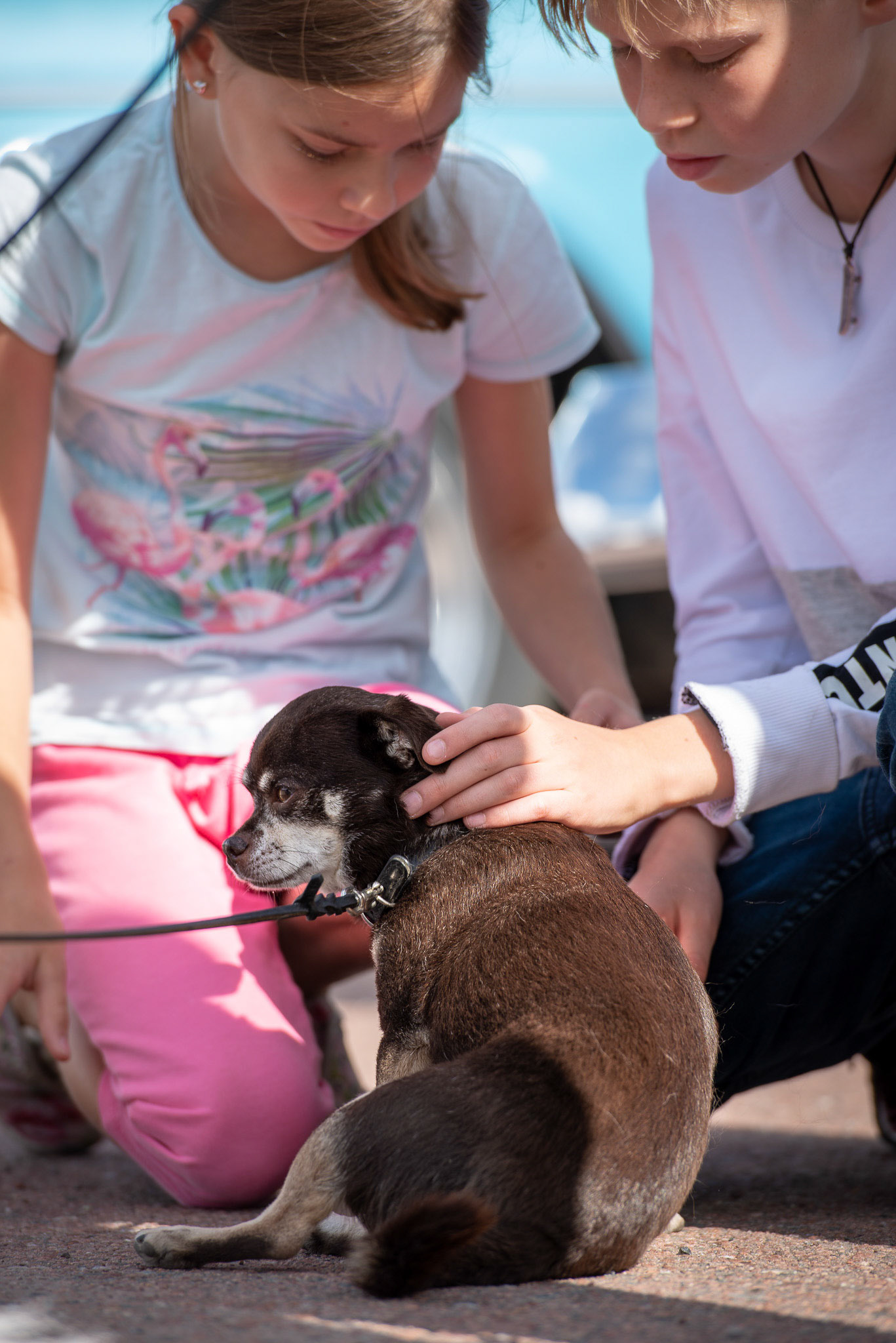 Foto: Christine Holm (www.christineholm.myportfolio.com)