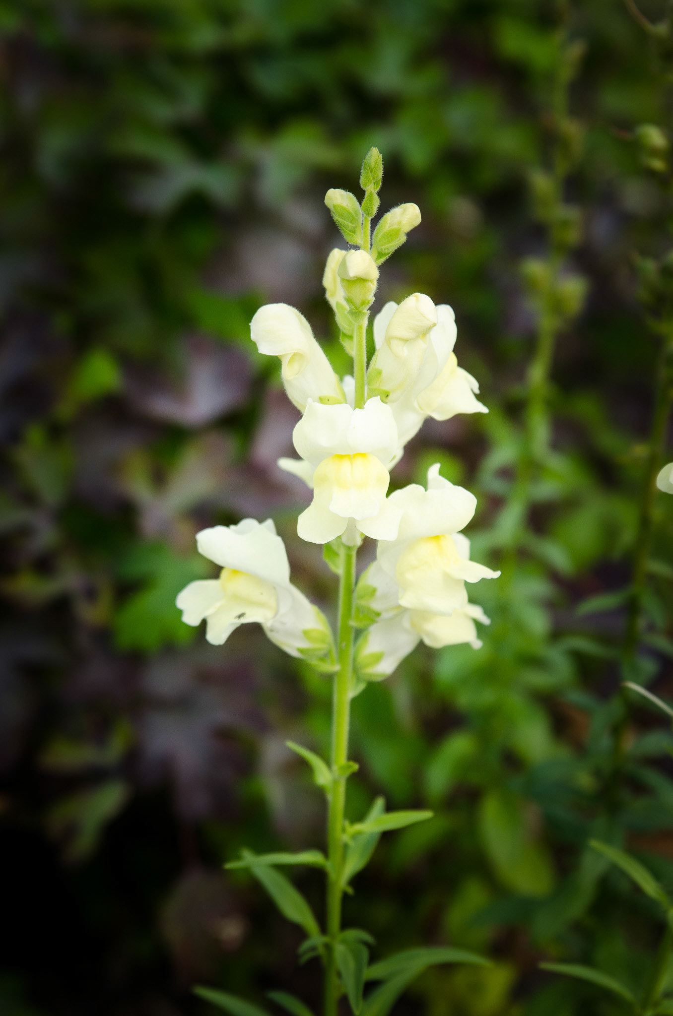 Foto: Christine Holm (www.christineholm.myportfolio.com)