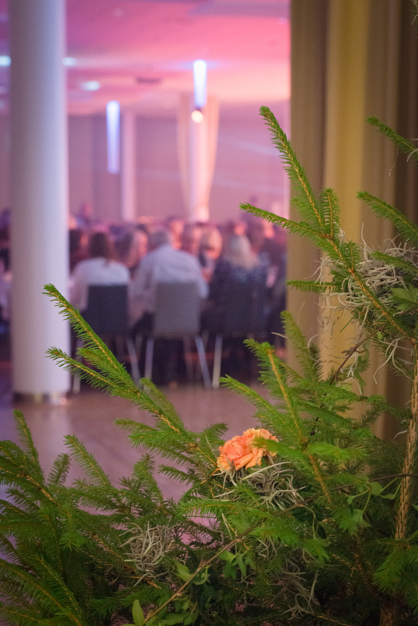 Foto: Christine Holm (www.christineholm.myportfolio.com)