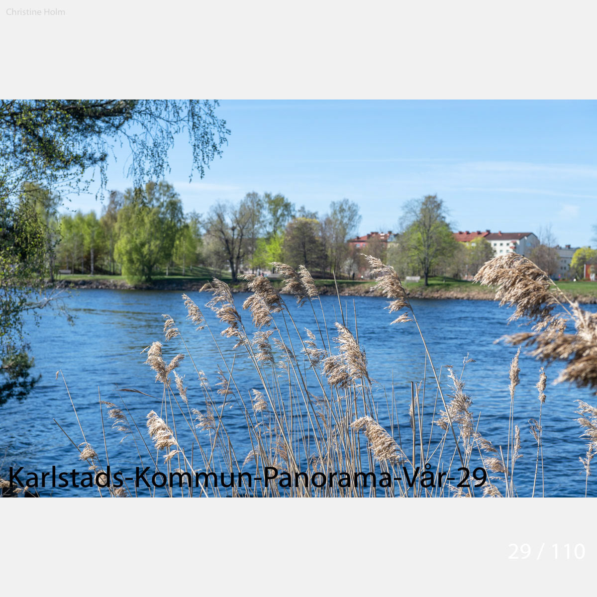 Foto: Christine Holm (www.christineholm.myportfolio.com)