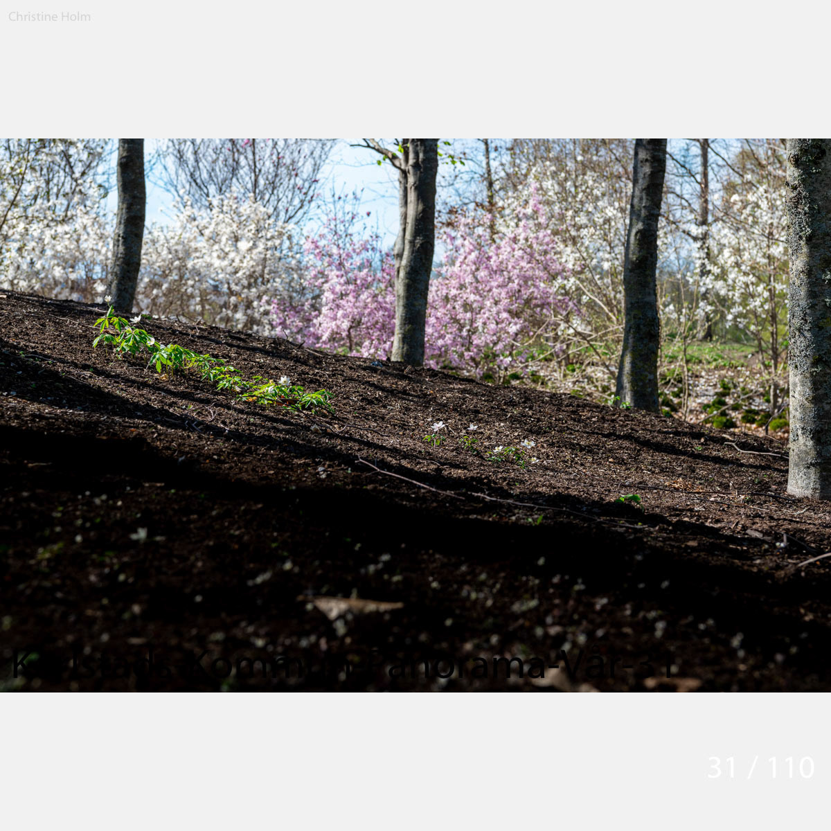 Foto: Christine Holm (www.christineholm.myportfolio.com)