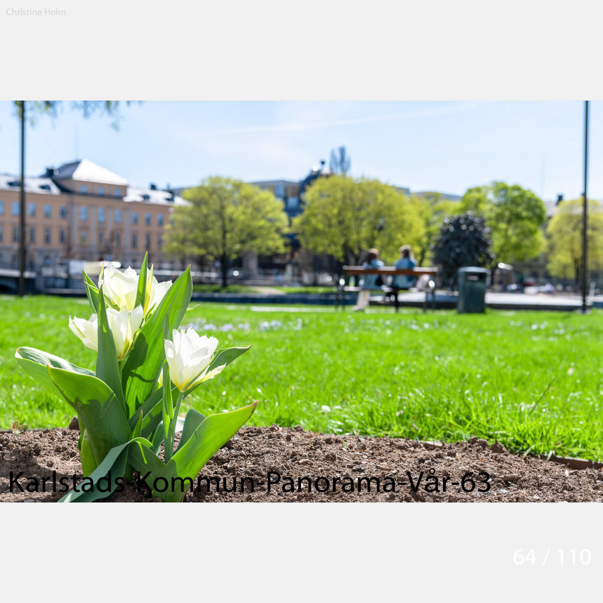 Foto: Christine Holm (www.christineholm.myportfolio.com)