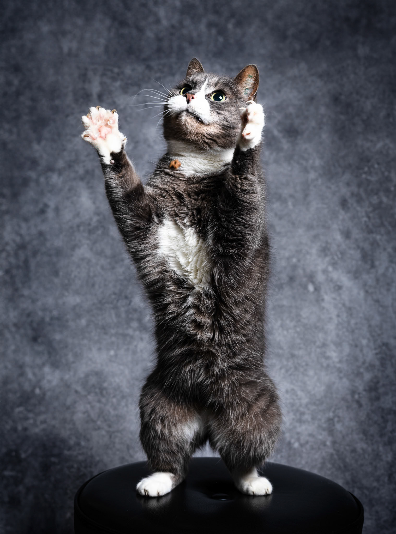 Foto: Christine Holm (www.christineholm.myportfolio.com)