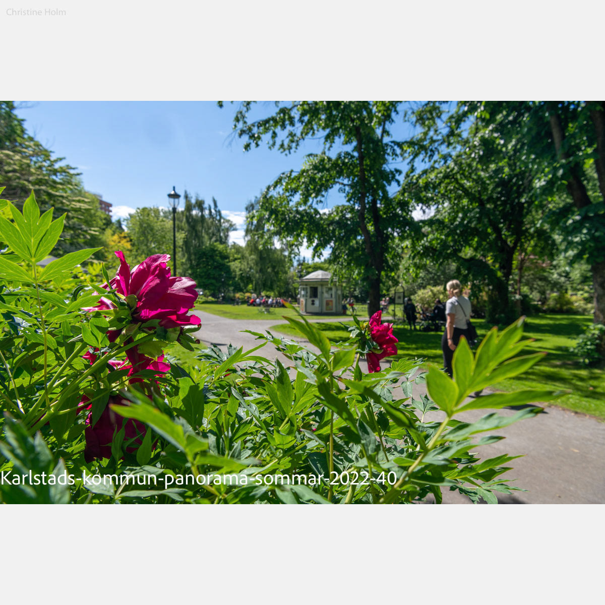 Foto: Christine Holm (www.christineholm.myportfolio.com)