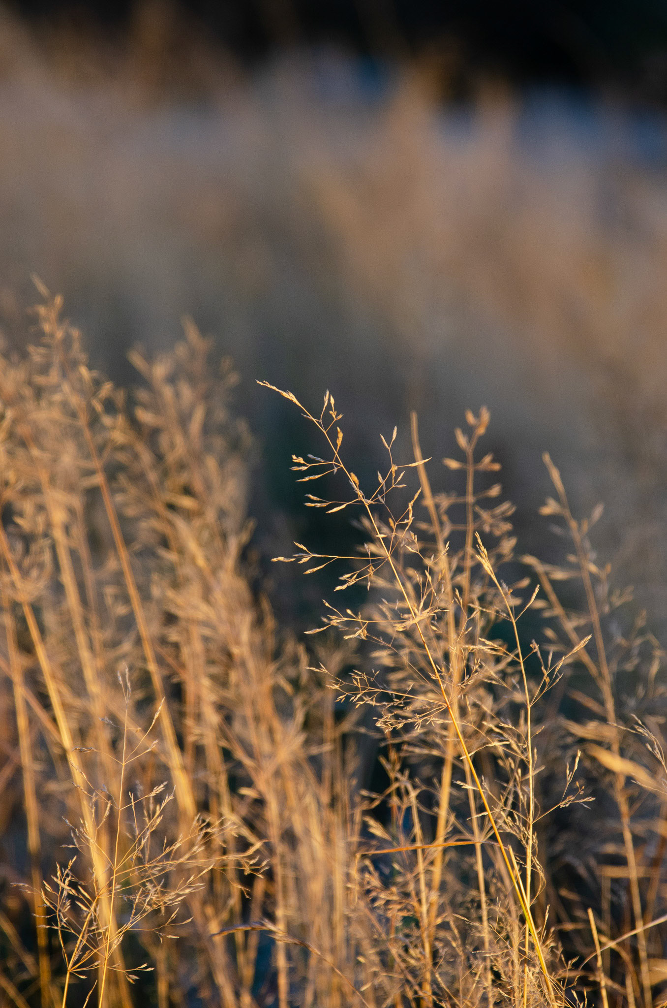 Foto: Christine Holm (www.christineholm.myportfolio.com)