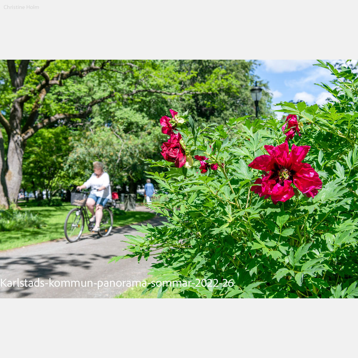 Foto: Christine Holm (www.christineholm.myportfolio.com)