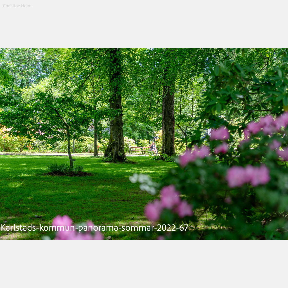 Foto: Christine Holm (www.christineholm.myportfolio.com)