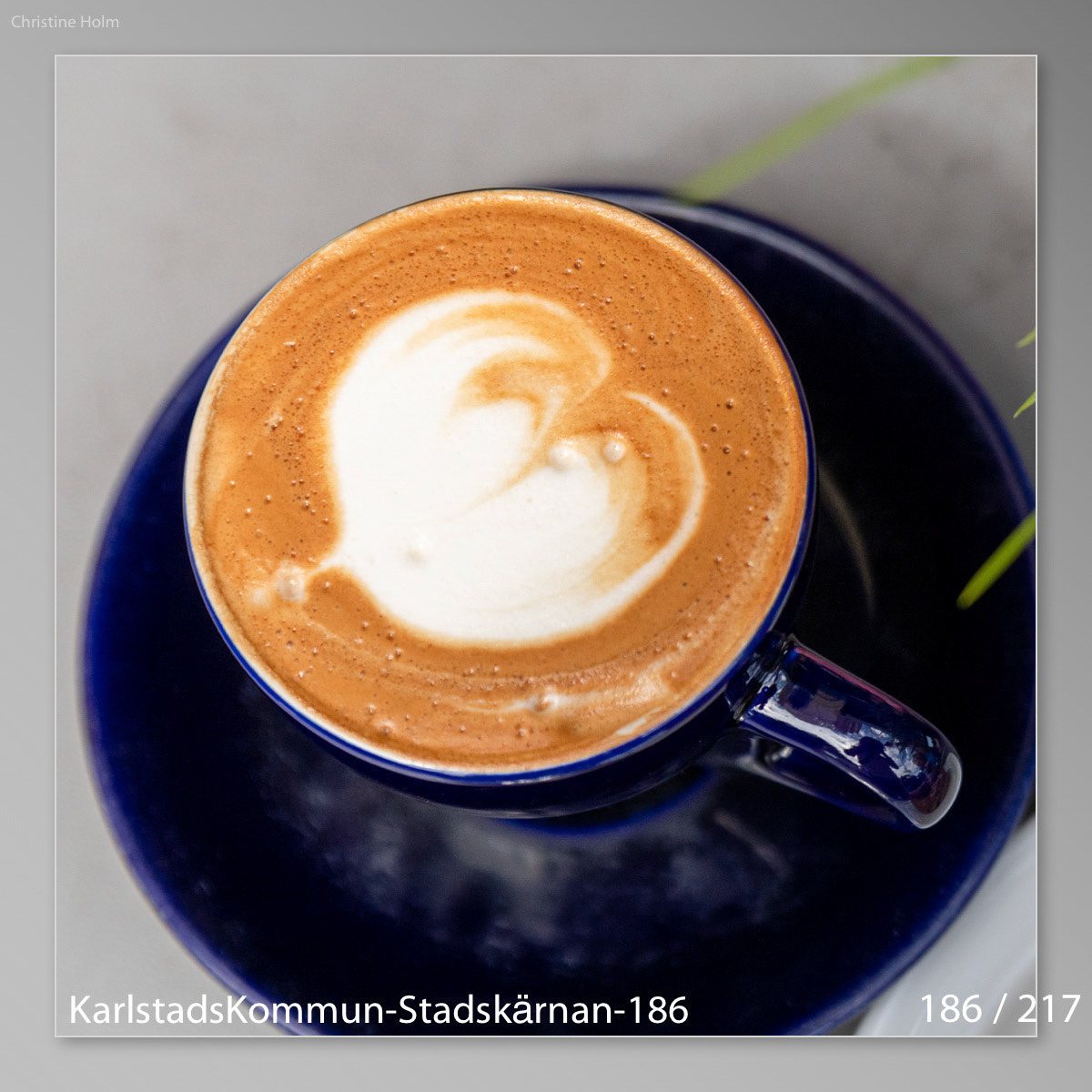 Foto: Christine Holm (www.christineholm.myportfolio.com)