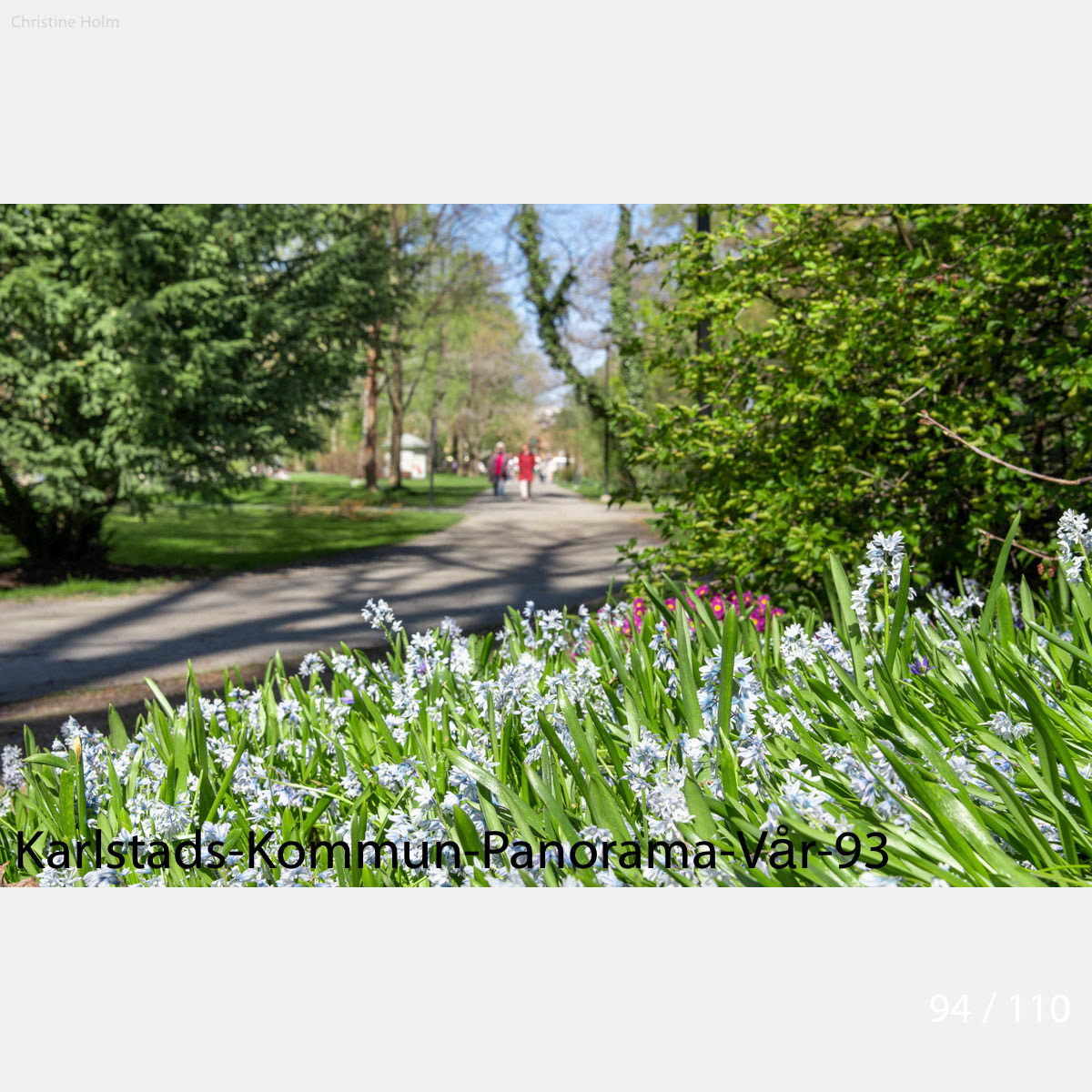 Foto: Christine Holm (www.christineholm.myportfolio.com)