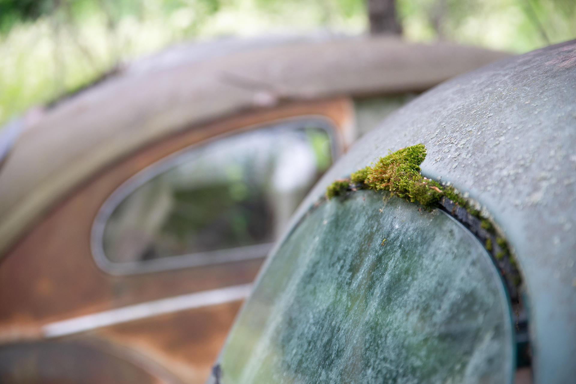 Foto: Christine Holm (www.christineholm.myportfolio.com)