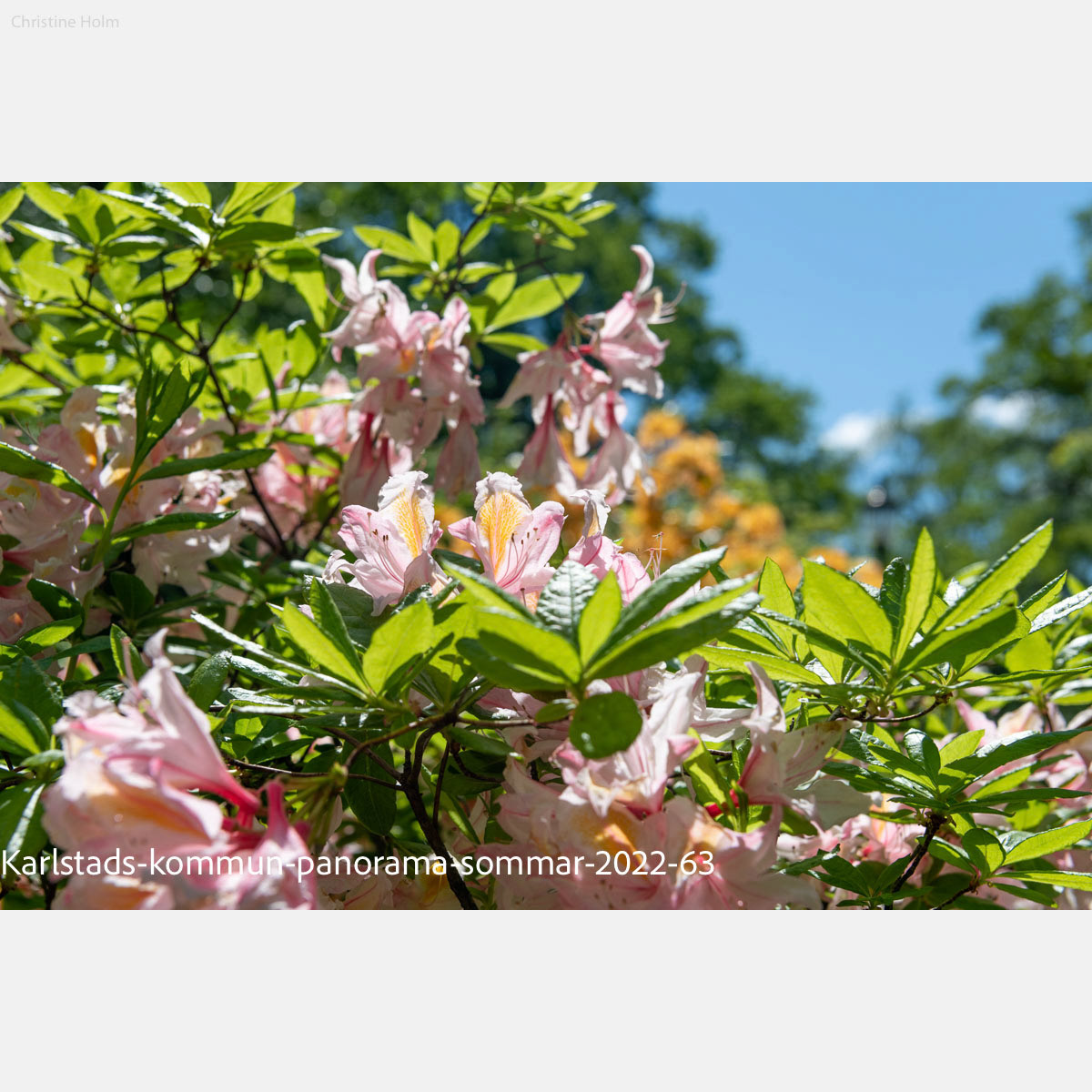 Foto: Christine Holm (www.christineholm.myportfolio.com)