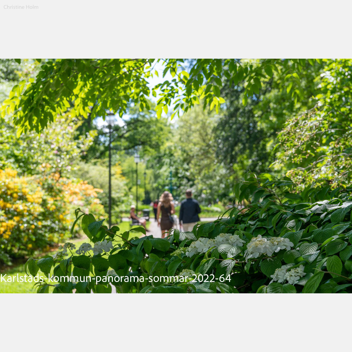 Foto: Christine Holm (www.christineholm.myportfolio.com)