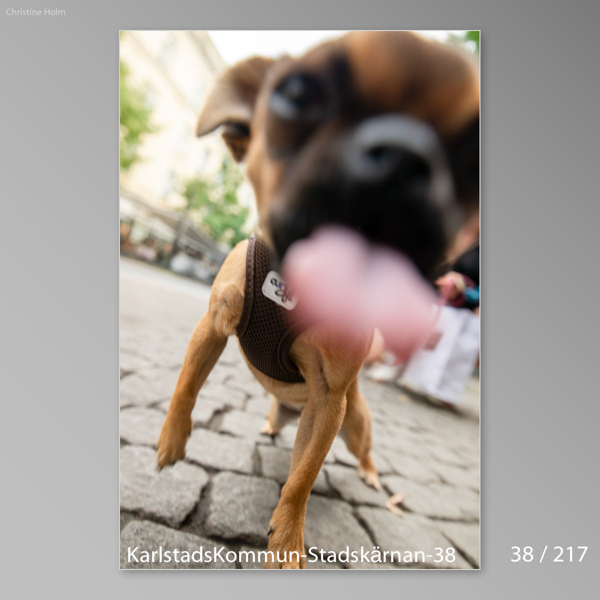 Foto: Christine Holm (www.christineholm.myportfolio.com)