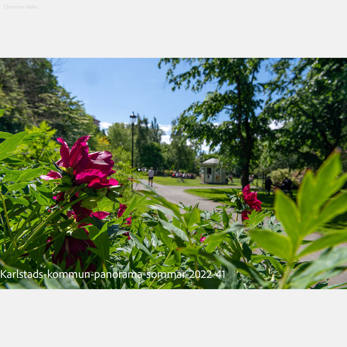 Foto: Christine Holm (www.christineholm.myportfolio.com)