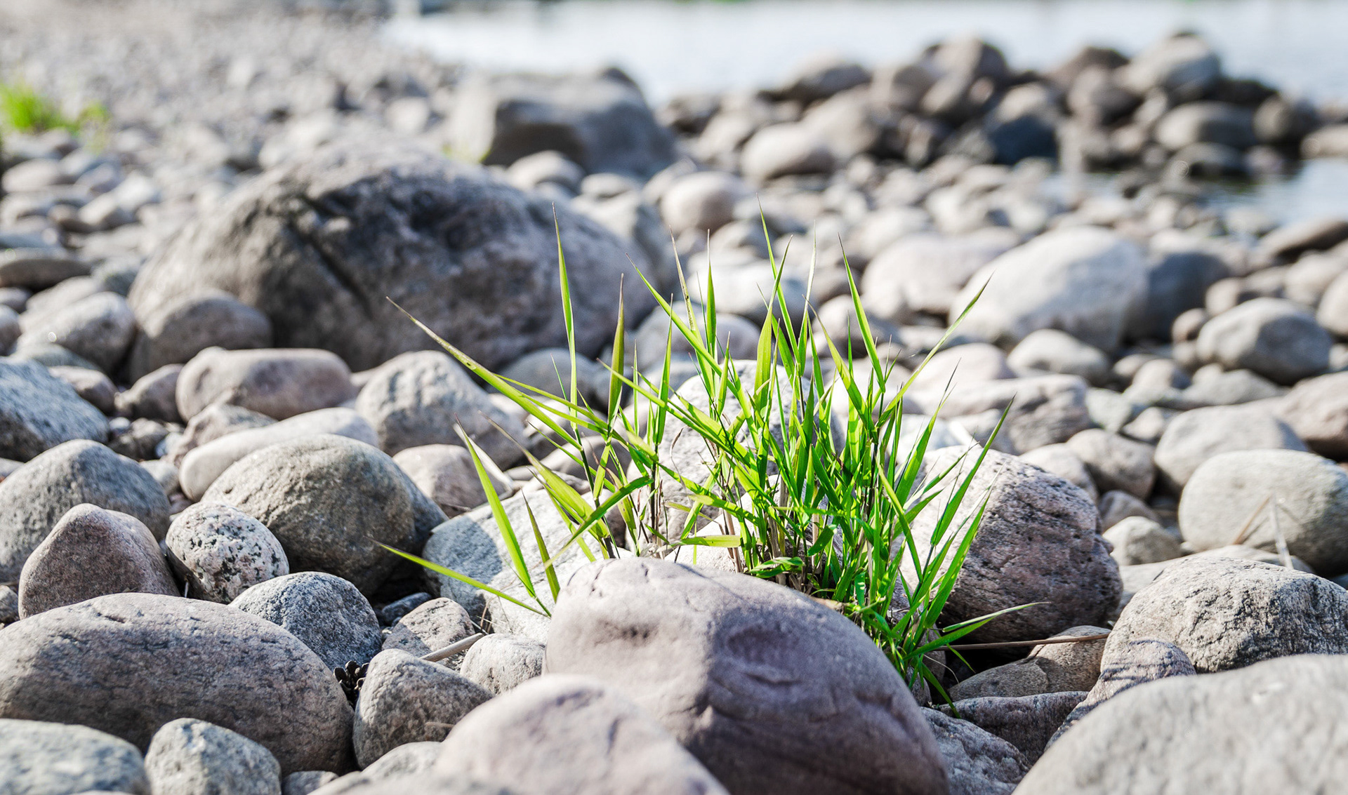 Foto: Christine Holm (www.christineholm.myportfolio.com)