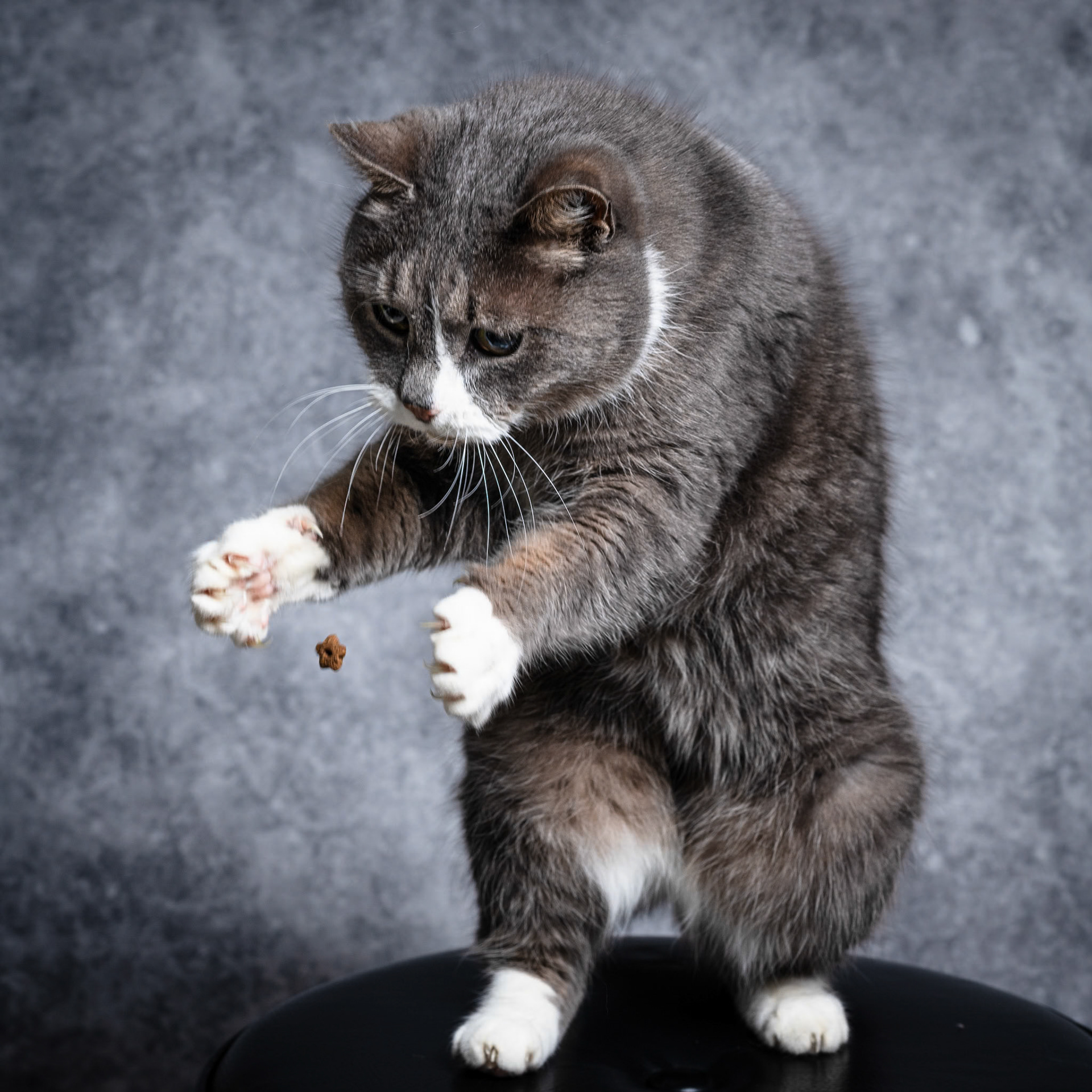 Foto: Christine Holm (www.christineholm.myportfolio.com)