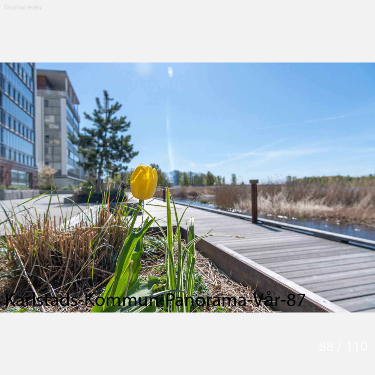 Foto: Christine Holm (www.christineholm.myportfolio.com)