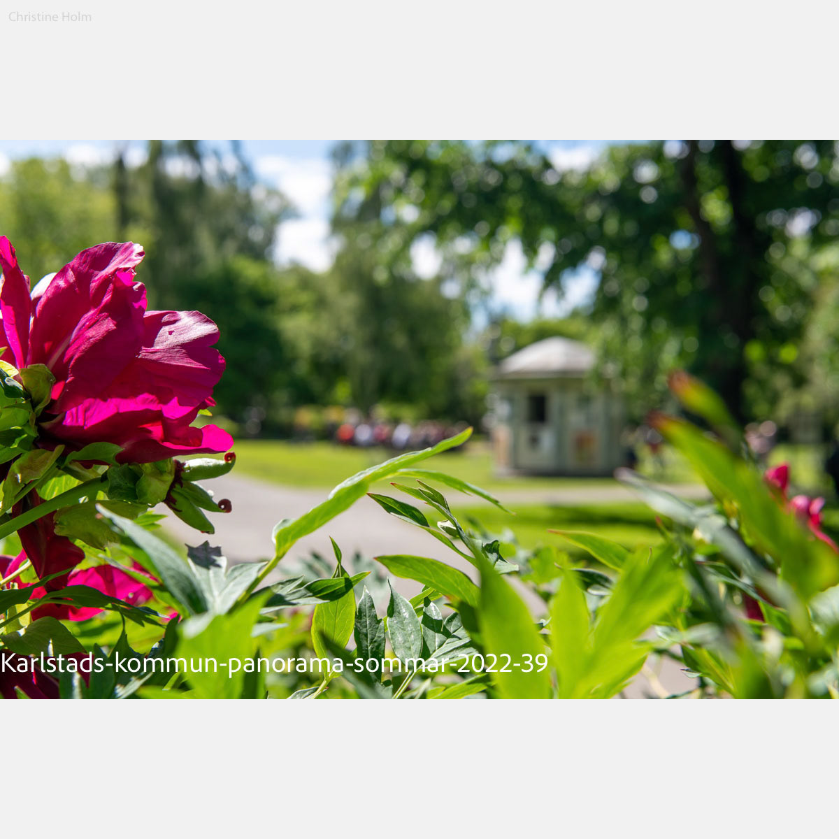 Foto: Christine Holm (www.christineholm.myportfolio.com)