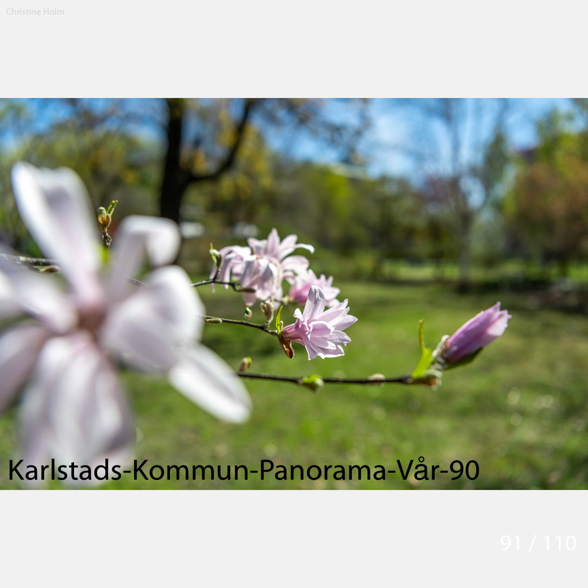 Foto: Christine Holm (www.christineholm.myportfolio.com)